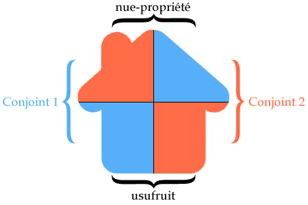 demembrement-croisé-conseil