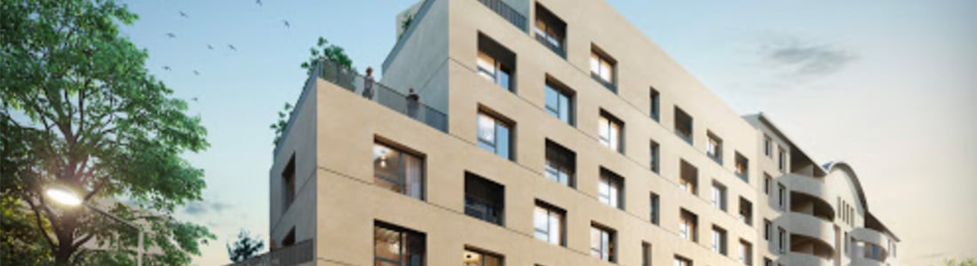 Achat Nue Propriete Villeurbanne Lyon Nuepro Immo