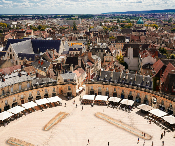 nue-propriete-dijon